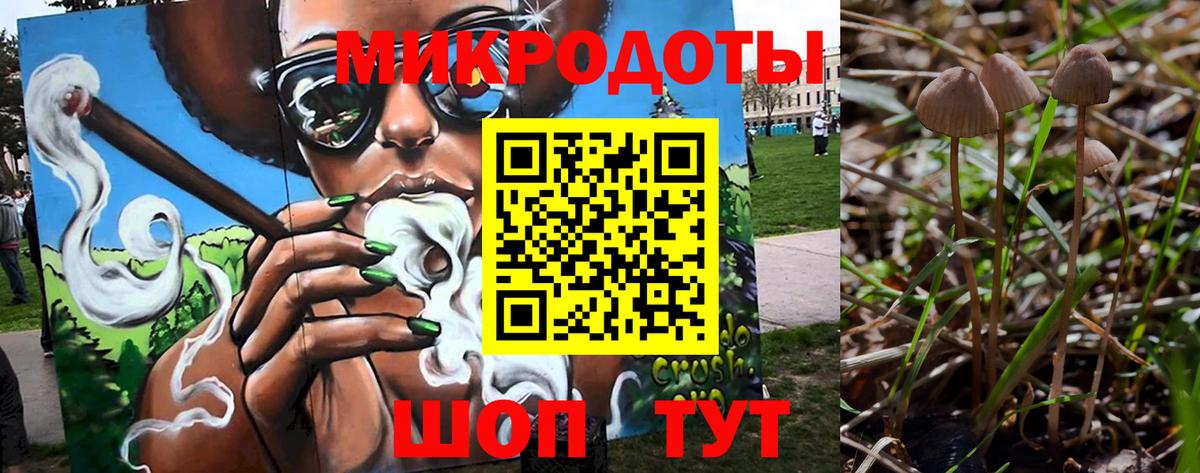Псилоцибиновые грибы Cubensis Тара