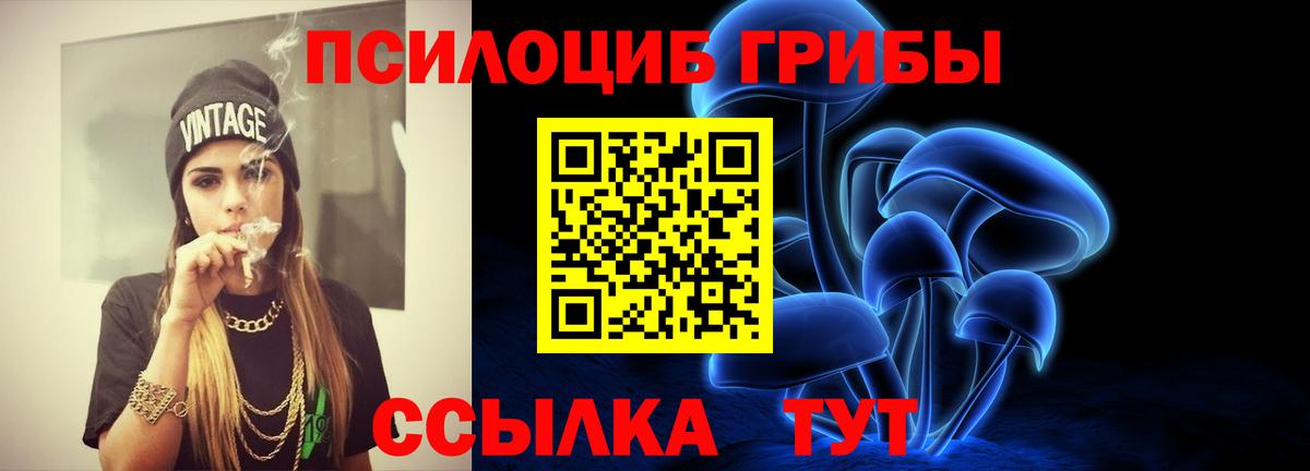Галлюциногенные грибы мицелий  Галлюциногенные грибы Cubensis  Тара  где купить наркотик  Вход с VPN 